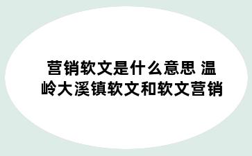 营销软文是什么意思 温岭大溪镇软文和软文营销